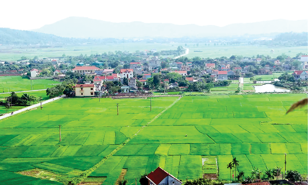 Đất đai là nền tảng cho sản xuất nông nghiệp