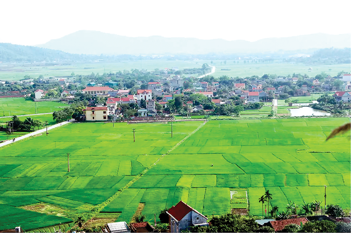 Đất đai là nền tảng cho sản xuất nông nghiệp