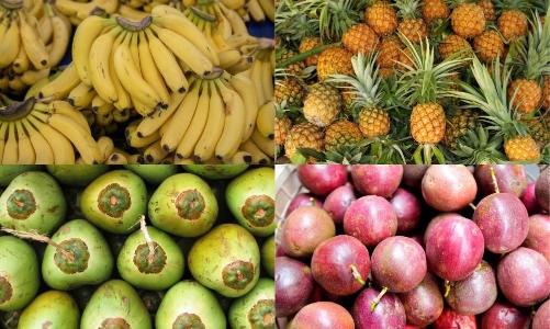 Chanh leo, dứa, dừa, chuối: Tứ trụ trái cây hướng tới mục tiêu tỷ đô