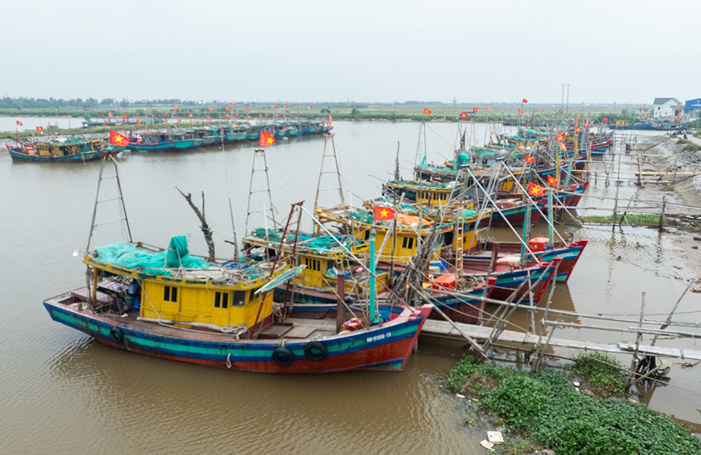 ngư dân dọc vùng ven biển Ninh Bình đã chủ động, khẩn trương trở về âu trú bão, chằng buộc tàu thuyền, ứng phó với cơn bão.