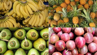 Vietnam's quartet of fruits target billion-dollar export goal