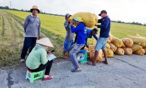 Cần để hộ kinh doanh tự nguyện tuân thủ chính sách hóa đơn điện tử thay vì áp lực hành chính