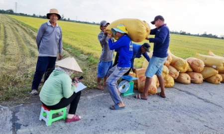 Hộ kinh doanh không chỉ là nơi tạo việc làm, mà còn là