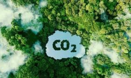 Việt Nam xây dựng thị trường carbon: Từ cam kết Net Zero đến