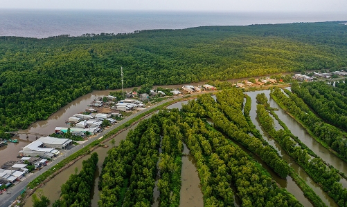 Cà Mau phát triển xanh bền vững, vươn mình từ biển