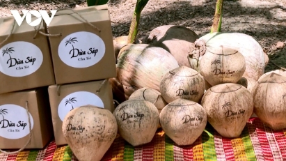 Vinh Long leverages technology to elevate Macapuno coconut into billion-dollar export crop