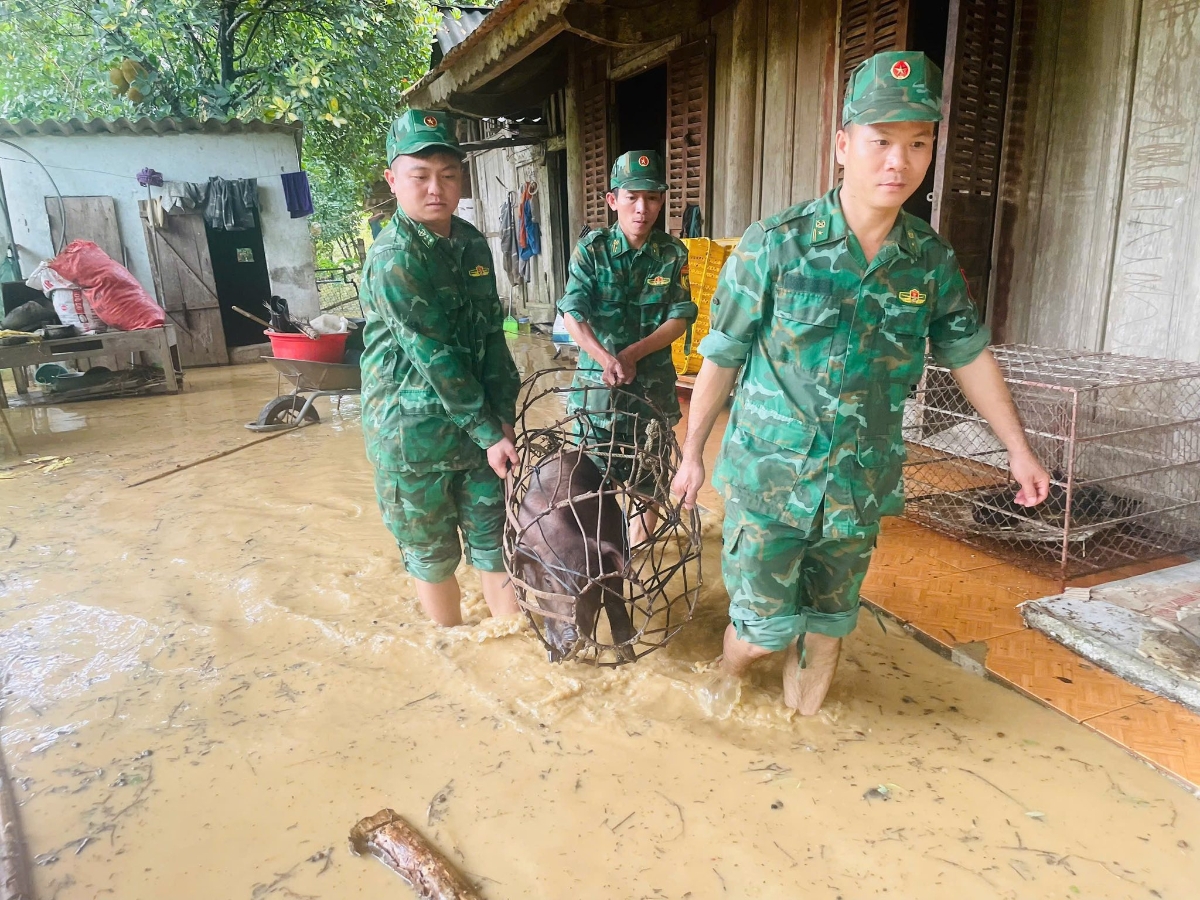 Ng&agrave;y 23/7, Đồn Bi&ecirc;n ph&ograve;ng Tam Quang tiếp tục cử lực lượng gi&uacute;p d&acirc;n sơ t&aacute;n, bảo vệ an to&agrave;n t&agrave;i sản trước t&igrave;nh h&igrave;nh nước lũ ng&agrave;y c&agrave;ng d&acirc;ng cao do ảnh hưởng của b&atilde;o số 3