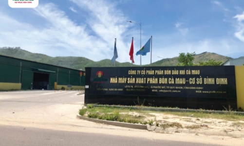 Tiếp tục đầu tư 120 tỷ mở rộng sản xuất tại Gia Lai, Phân bón Cà Mau phủ sóng miền Trung - Tây Nguyên?