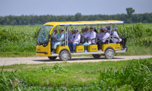 Triết lý “Mở khóa tự nhiên” của Vinamilk đã tạo nên những vòng tuần hoàn xanh tại trang trại sinh thái