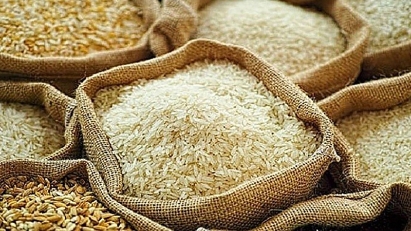 Vietnam remains Singapore's 3rd largest rice exporter