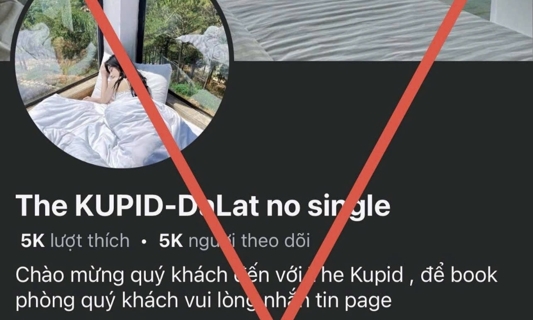 Một số fanpage mà các đối tượng làm giả nhằm chiếm đoạt tài sản của khách du lịch.