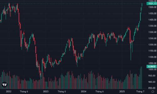 Nhóm chứng khoán dẫn sóng, cổ phiếu vừa và nhỏ tăng cực nóng