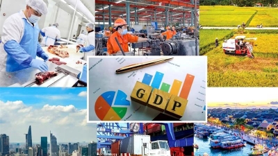 AMRO raises 2025 growth forecast for Vietnam to 7%