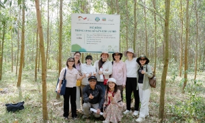 Doanh nghiệp sẵn sàng tham gia thị trường tín chỉ carbon