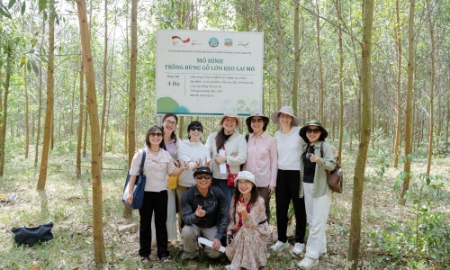 Doanh nghiệp sẵn sàng tham gia thị trường tín chỉ carbon