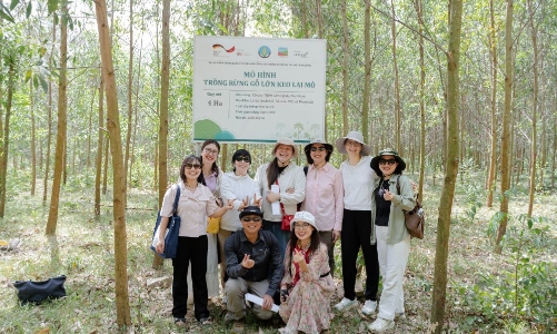 Doanh nghiệp sẵn sàng tham gia thị trường tín chỉ carbon