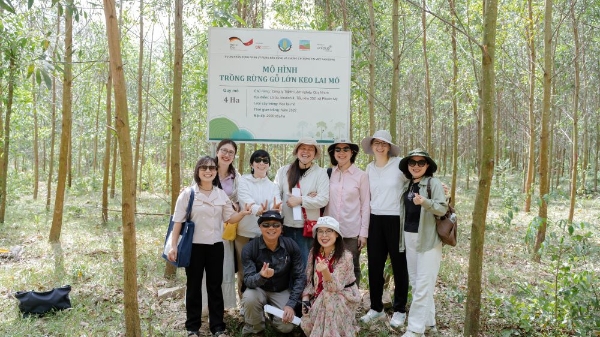 Doanh nghiệp sẵn sàng tham gia thị trường tín chỉ carbon