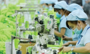 Chuyển đổi xanh mang lại giá trị tác động kép cho các doanh nghiệp