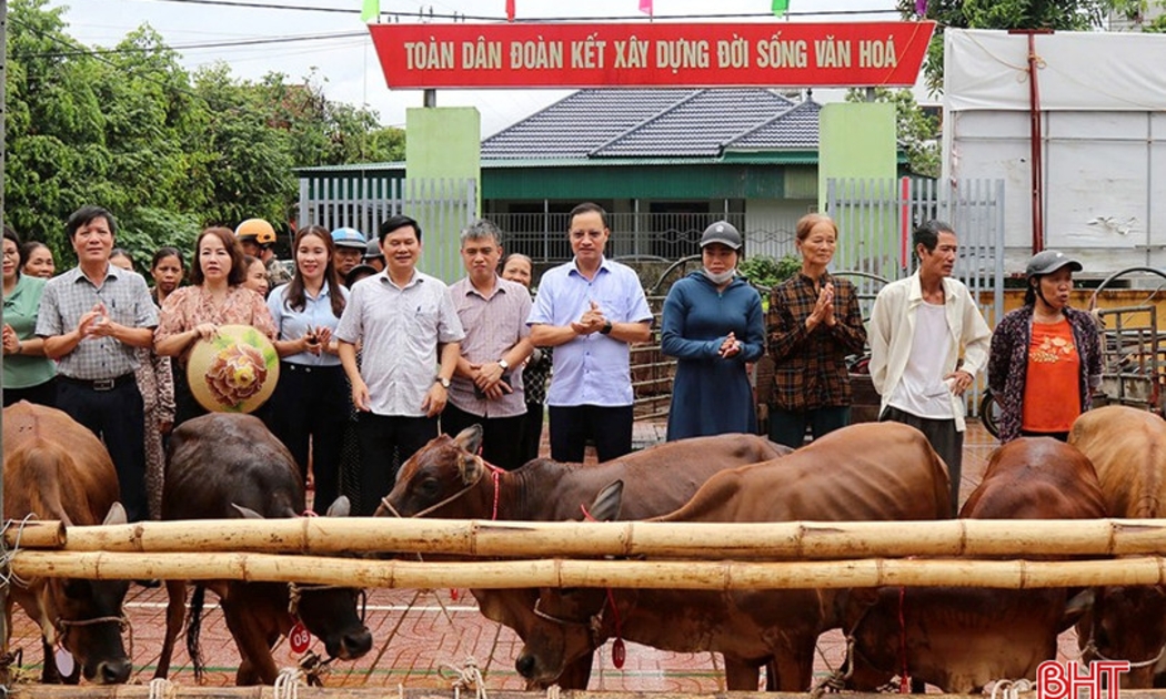 Mỗi hộ dân sẽ được nhận một con bò sinh sản trị giá 10 triệu đồng để chăn nuôi phát triển kinh tế. Ảnh: HD