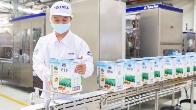 Vietnam’s national brand value elevated on global stage