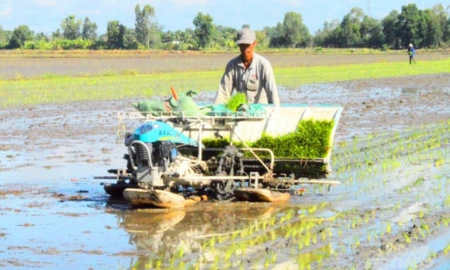 Để đồng bằng sông Cửu Long thành vùng phát thải thấp