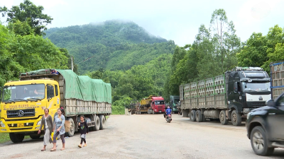 Thanh Hoa-Houaphanh border trade reaches nearly $385 mln