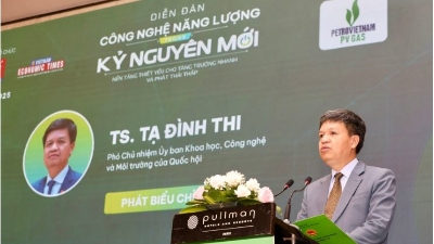 Forum on clean energy transition held