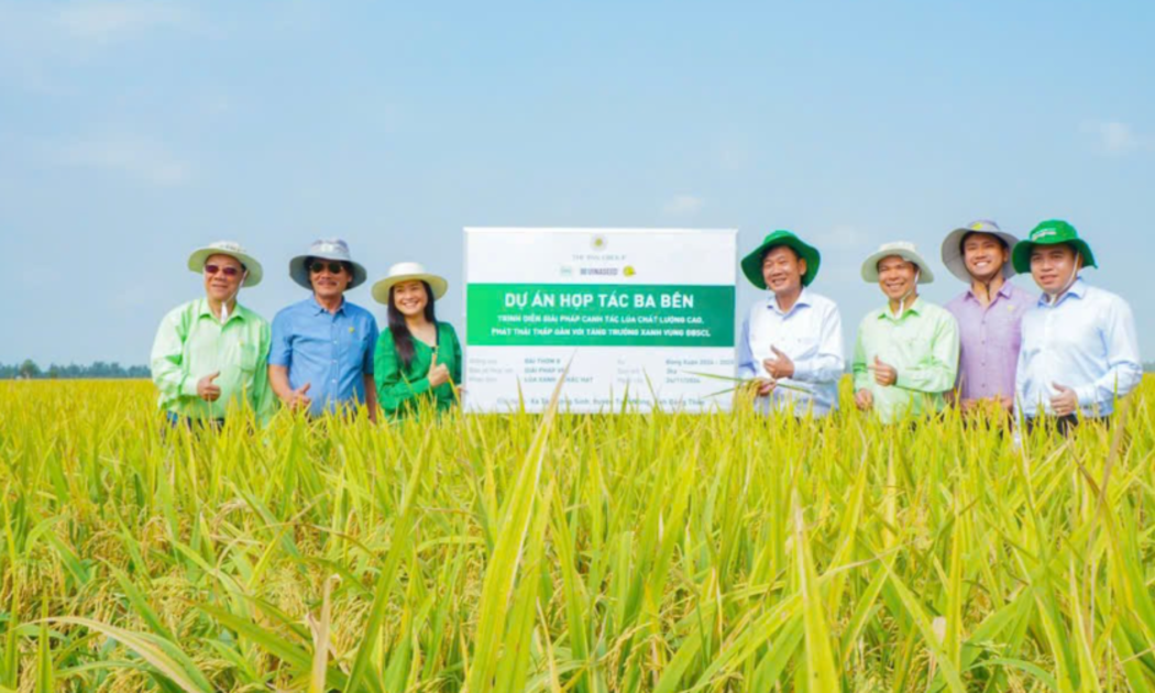 Một mô hình trồng lúa giảm phát thải tại tỉnh Đồng Tháp.