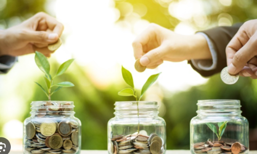 Tổ chức tài chính quốc tế tăng cường hỗ trợ Việt Nam trong hành trình chuyển đổi xanh