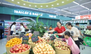 Doanh nghiệp tiêu dùng mang ẩm thực Việt chinh phục thị trường quốc tế