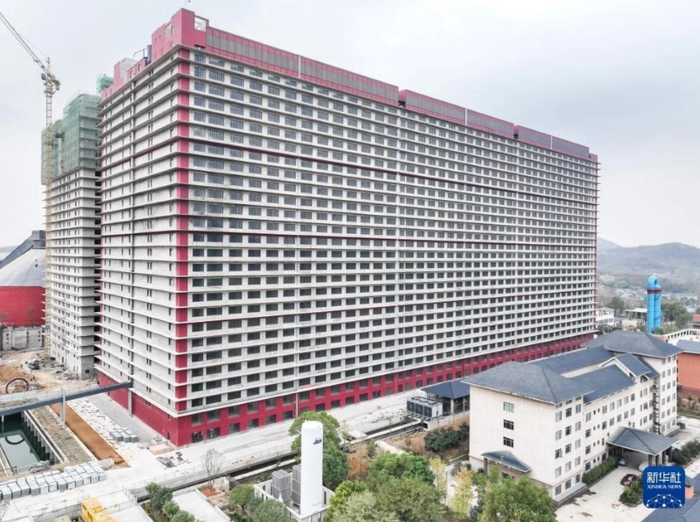 Một trang trại chăn nuôi lợn cao 26 tầng ở tỉnh Hồ Bắc, Trung Quốc.