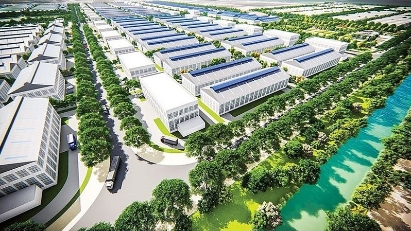 Vietnam’s green industry in a global race