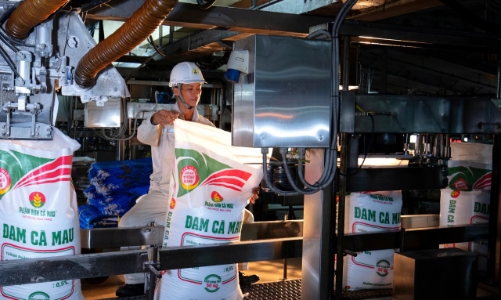 PVCFC kết quả kinh doanh bứt phá - Sức khỏe tài chính mạnh mẽ