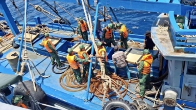 Da Nang city takes stronger measures  against IUU fishing