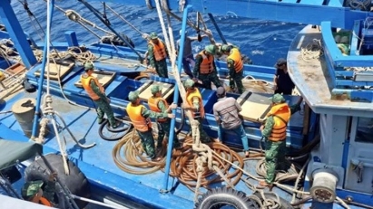 Da Nang city takes stronger measures  against IUU fishing