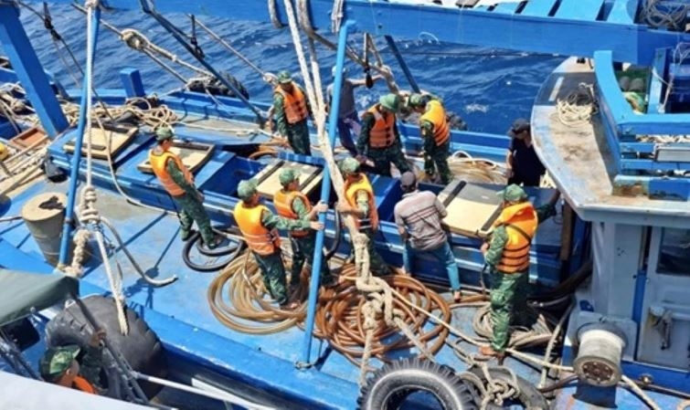 Da Nang city takes stronger measures  against IUU fishing