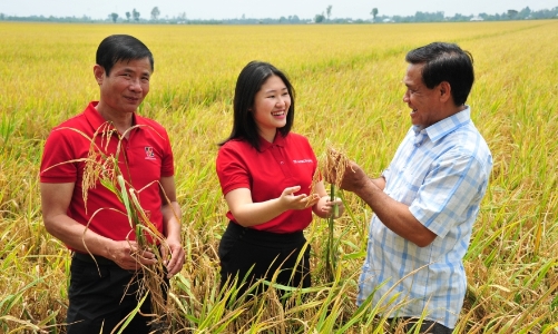“Ông lớn” tín dụng tam nông dồn vốn cho sản xuất