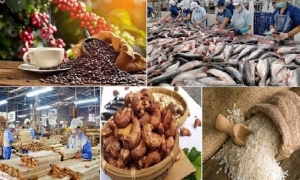 Xuất khẩu nông lâm thuỷ sản 7 tháng tăng trưởng gần 15%, cà phê lập kỷ lục mới