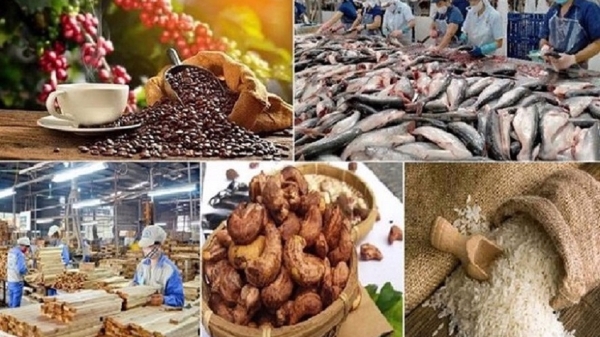 Xuất khẩu nông lâm thuỷ sản 7 tháng tăng trưởng gần 15%, cà phê lập kỷ lục mới