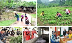 Thanh Hóa phân bổ hơn 421 tỷ đồng thực hiện chương trình phát triển vùng đồng bào dân tộc thiểu số và miền núi