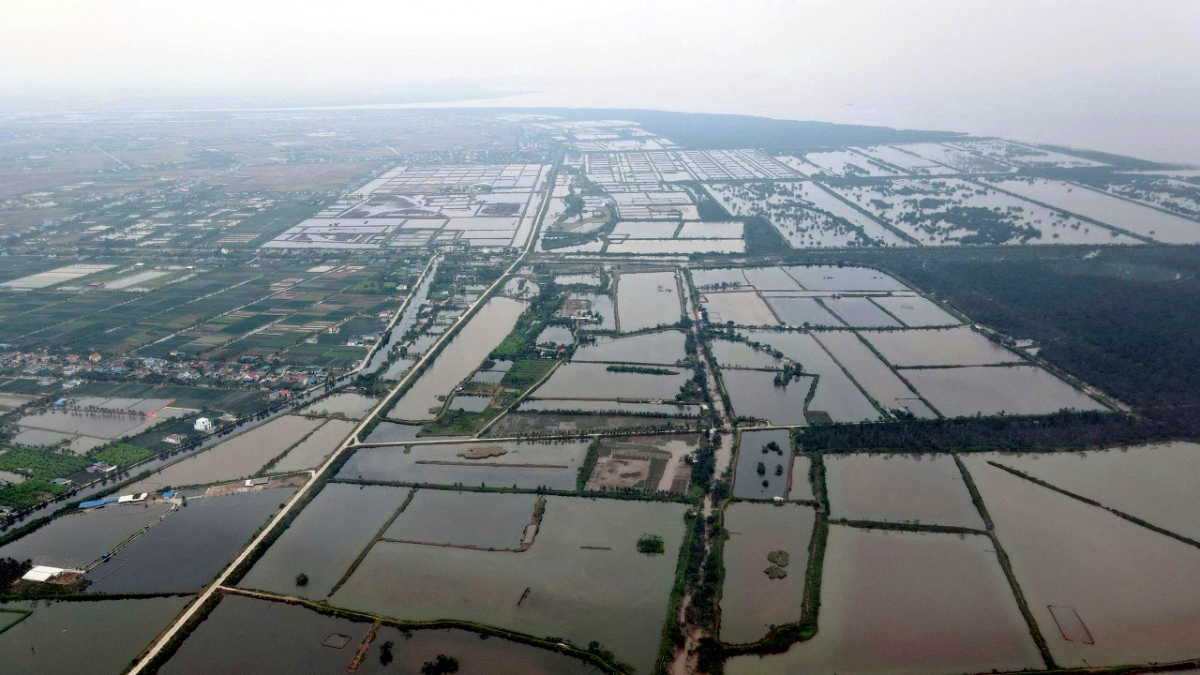 Khu vực x&atilde; Chấn Hưng, nơi được quy hoạch S&acirc;n bay Ti&ecirc;n L&atilde;ng v&agrave; khu c&ocirc;ng nghiệp S&acirc;n bay Ti&ecirc;n L&atilde;ng, phần lớn l&agrave; đất trồng l&uacute;a v&agrave; nu&ocirc;i trồng thuỷ sản.