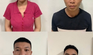 Phát hiện một số cơ sở giết mổ, tiêu thụ thịt lợn nhiễm dịch tả châu Phi tại Thanh Hóa