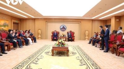 Da Nang seeks South Korean partnership to develop ginseng industry