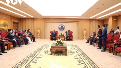 Da Nang seeks South Korean partnership to develop ginseng industry