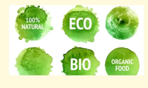 Chứng nhận nhãn sinh thái Việt Nam cho các sản phẩm, dịch vụ