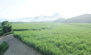 Chuyển đổi xanh giúp doanh nghiệp đáp ứng yêu cầu thị trường, giữ đơn hàng, tăng xuất khẩu