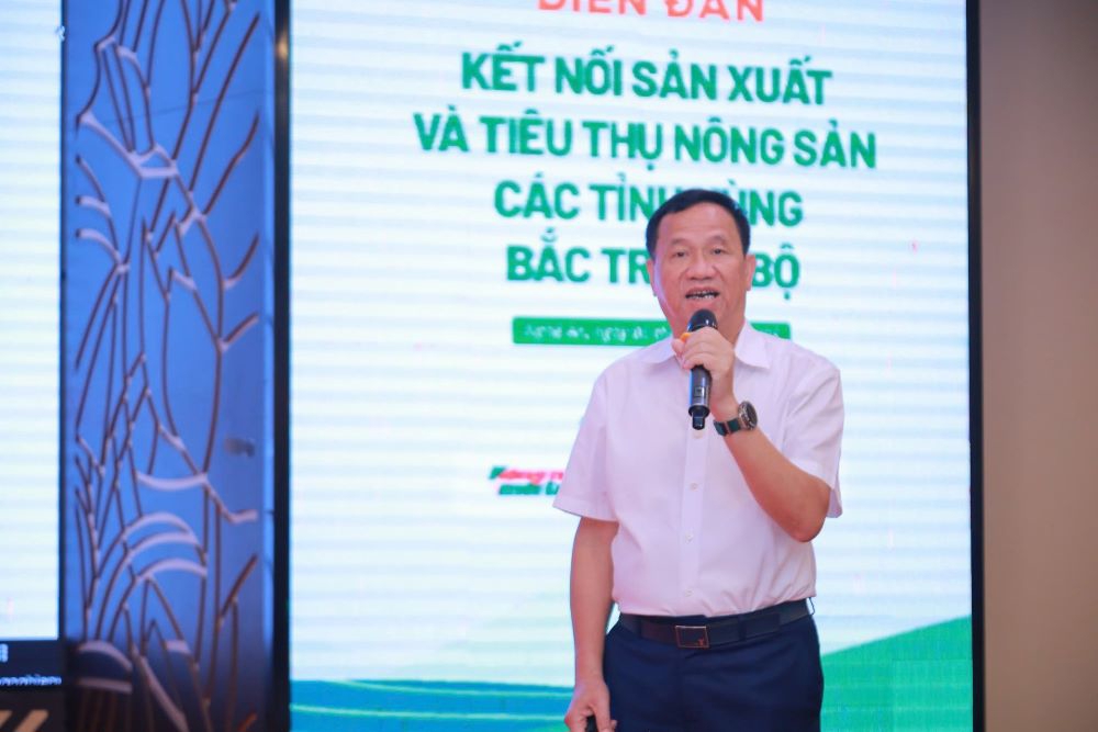 Ông Đinh Cao Khuê: "Cây dứa chịu hạn tốt, phù hợp với nhiều loại đất và điều kiện khắc nghiệt".