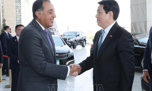 Thủ tướng Ai Cập đề xuất thành lập Hội đồng kinh doanh Việt Nam - Arab