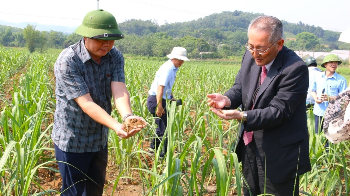 C&ocirc;ng ty Cổ phần M&iacute;a đường Lam Sơn phối hợp với hai doanh nghiệp Nhật Bản tổ chức đợt kiểm tra thực địa v&ugrave;ng m&iacute;a tại Thanh H&oacute;a, nhằm r&agrave; so&aacute;t kỹ thuật v&agrave; ho&agrave;n thiện c&aacute;c bước để đăng k&yacute; t&iacute;n chỉ carbon theo chuẩn quốc tế.
