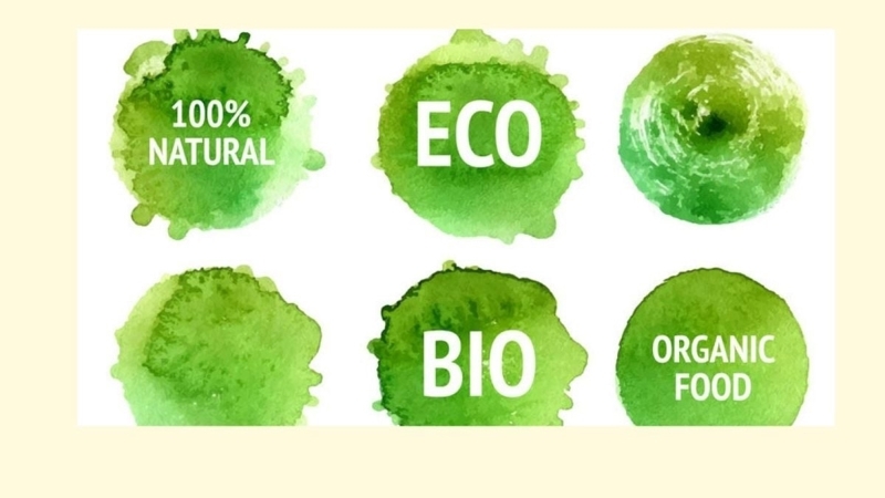 Vietnam Ecolabel certification granted to products and services